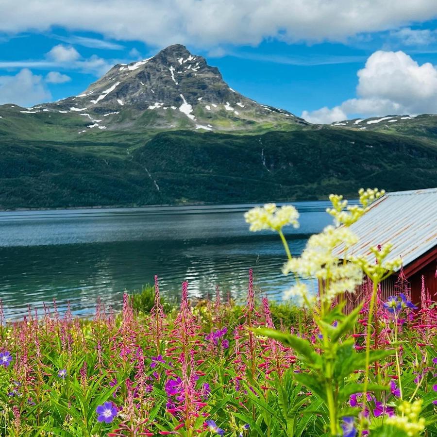 Ferienwohnung Norwegian Dream Gratangen Exterior foto