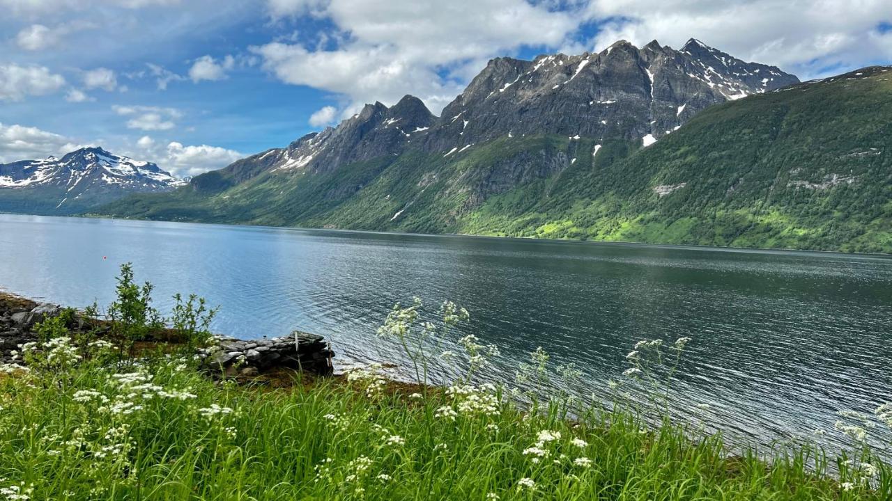 Ferienwohnung Norwegian Dream Gratangen Exterior foto